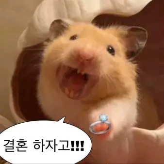 MaleTime8382의 결혼 하자는 햄스터