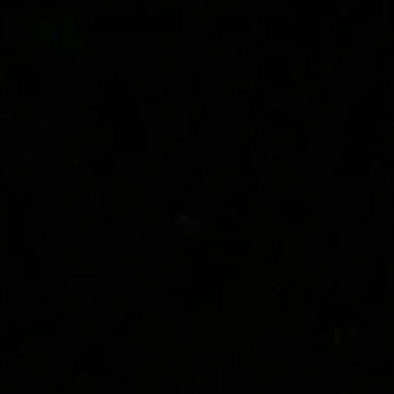 bamgyu