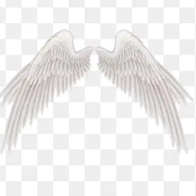 Profile image of 푸딩제리