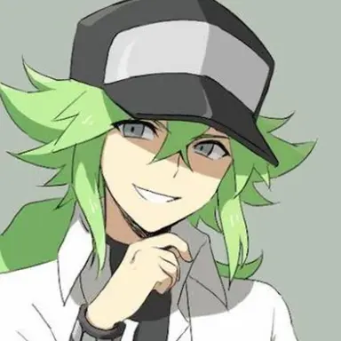 Profile image of N