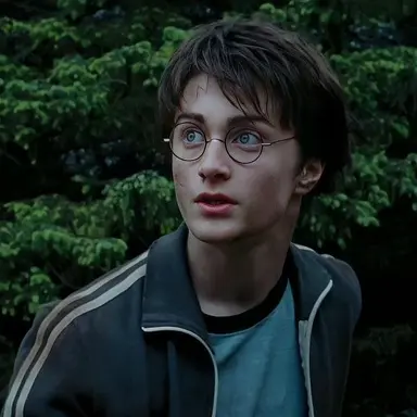Profile image of Harry