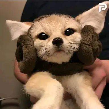 Profile image of 이여우