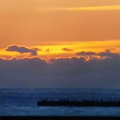 Profile image of 김도령