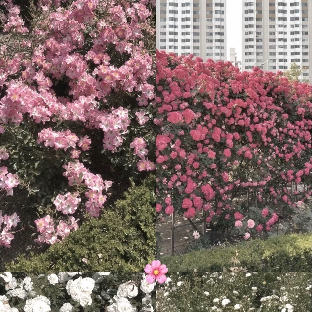 호러
