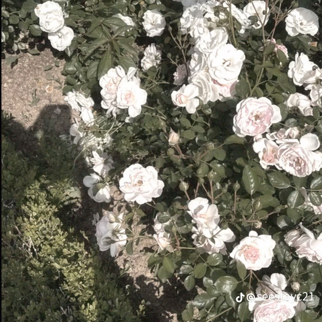 부서진 드림