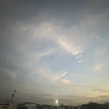 Profile image of 渡辺  和貴