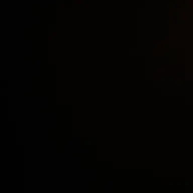 Profile image of 쑨지아양