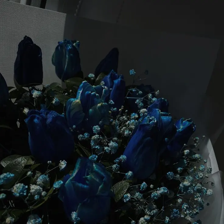 Blanket2의 센티넬 버스