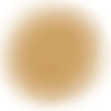 Profile image of 위스키맛 쿠키
