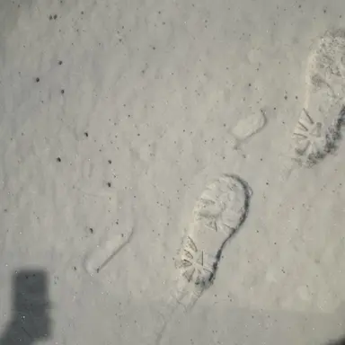 Profile image of 선생님