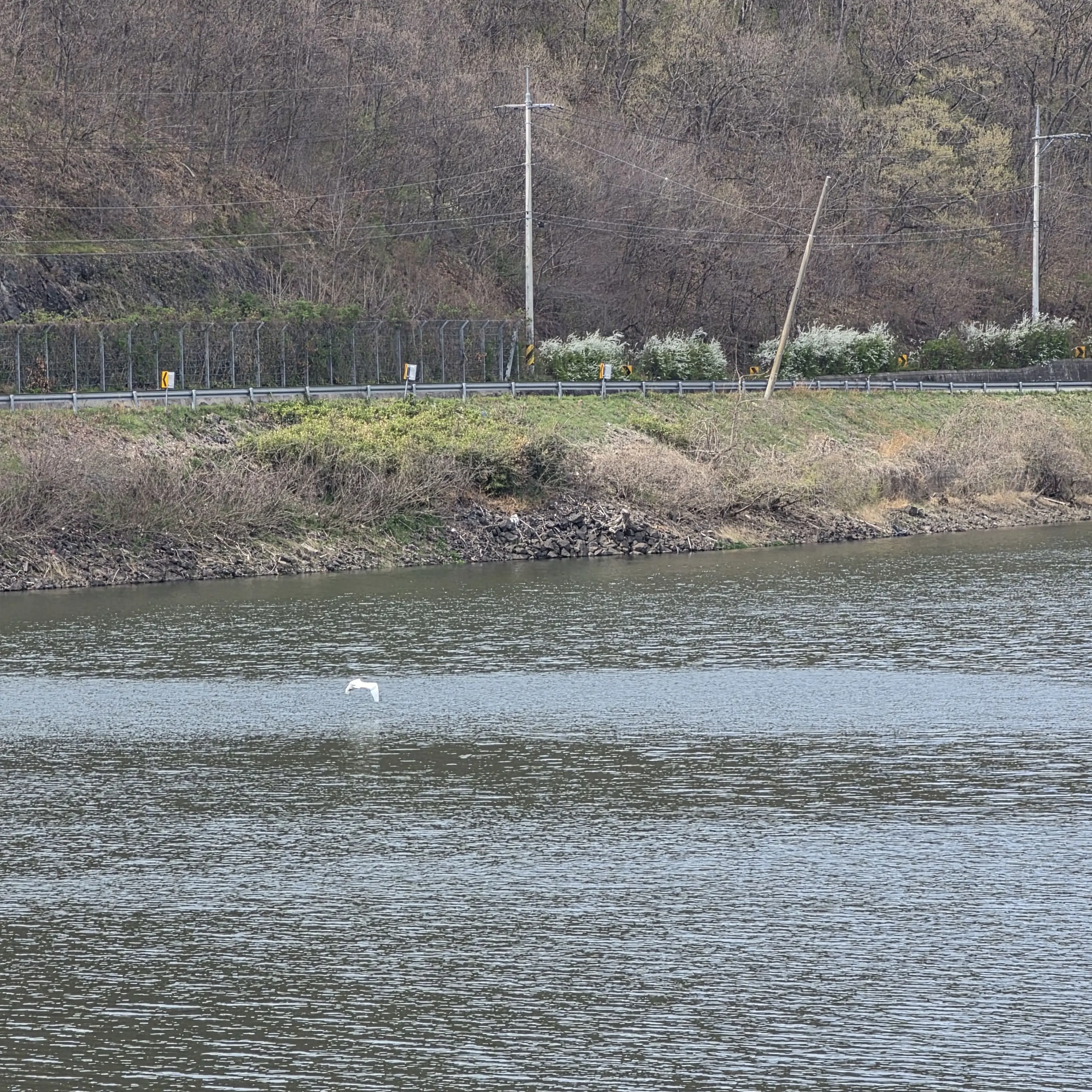 CostlyFlag8575의 내 여친은 Ai