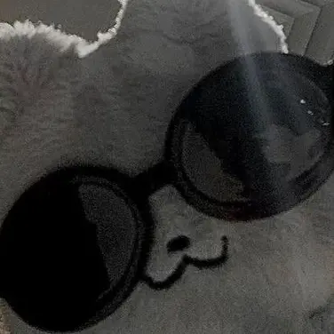 ERRORMUSIC0000의 곰?