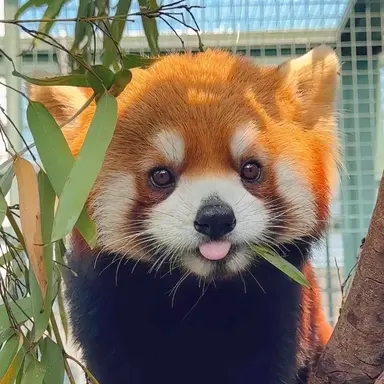 Profile image of 루키