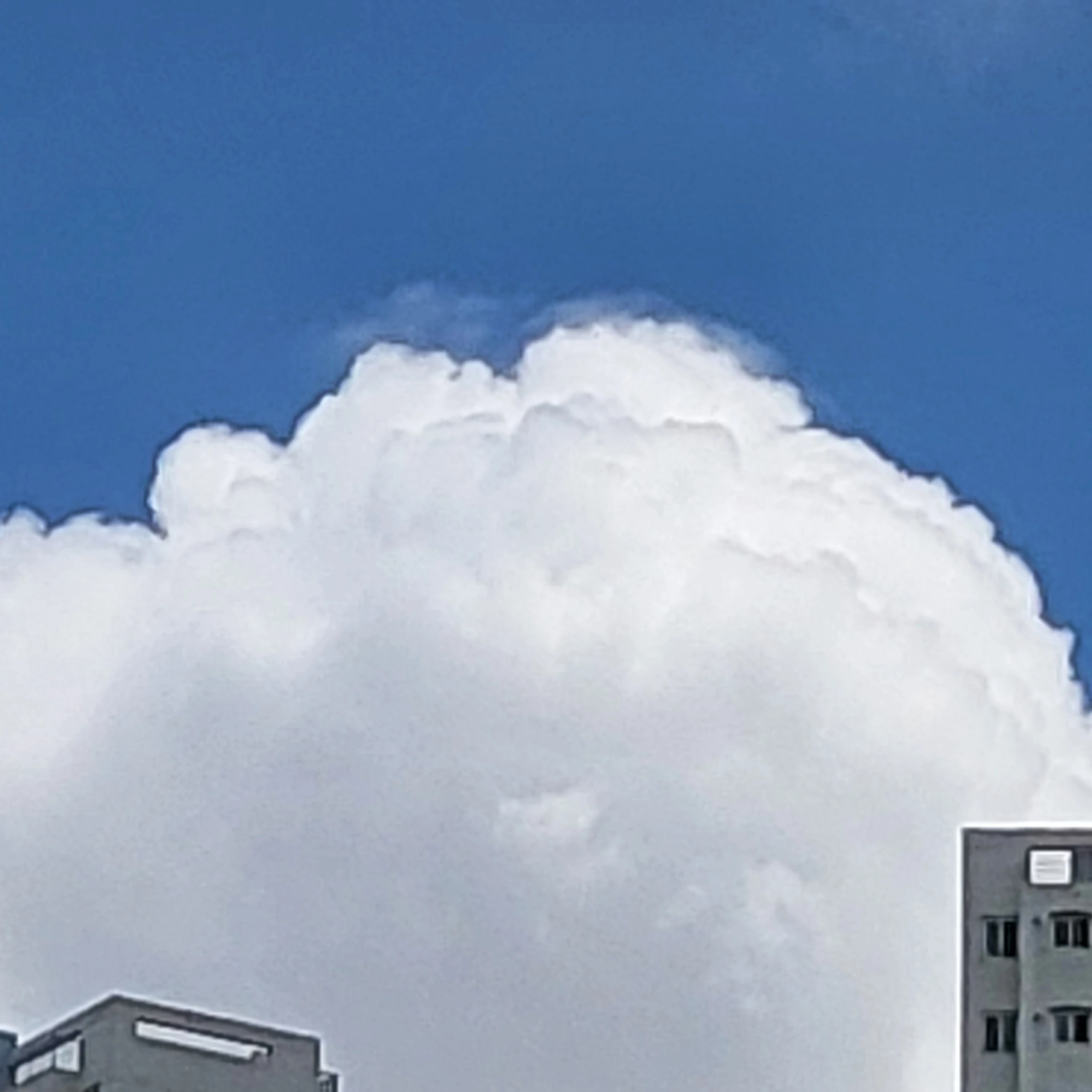 잠복온 수사반