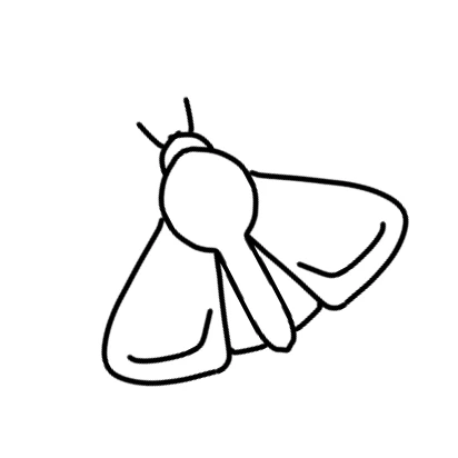 나방