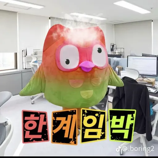 DaringMeat0946의 듀오링고(자세한건 레ㅣ스트로계 방에서)