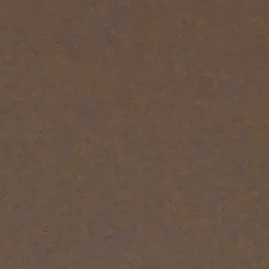김지희