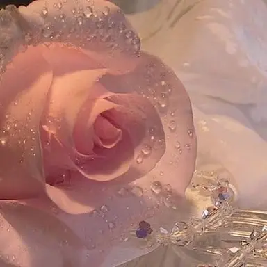 Profile image of 카마도 네즈코