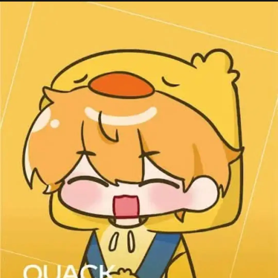 bororo2의 꽥스코드