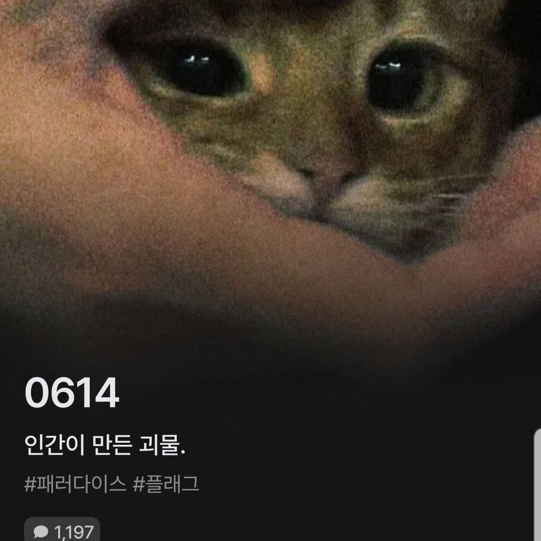 여우가남자한테뭐를해보라한다?! 대표 이미지