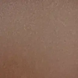 Profile image of シンドラー