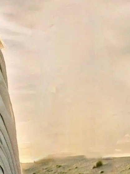 AntsyCrate7781의 1年仙蔵