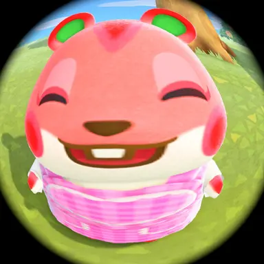 Profile image of 채스터