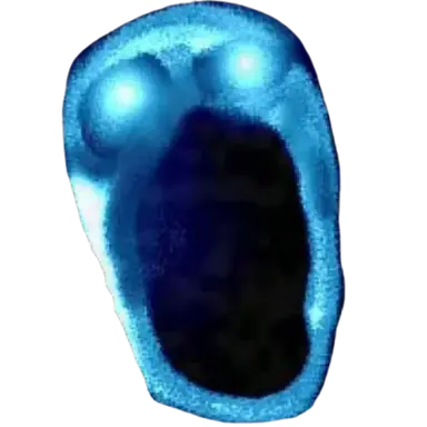 Profile image of 뎁스
