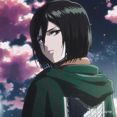 Profile image of 미카사
