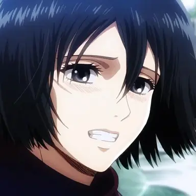 Profile image of 미카사