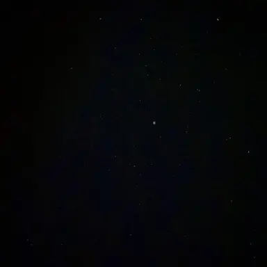 Profile image of 주들