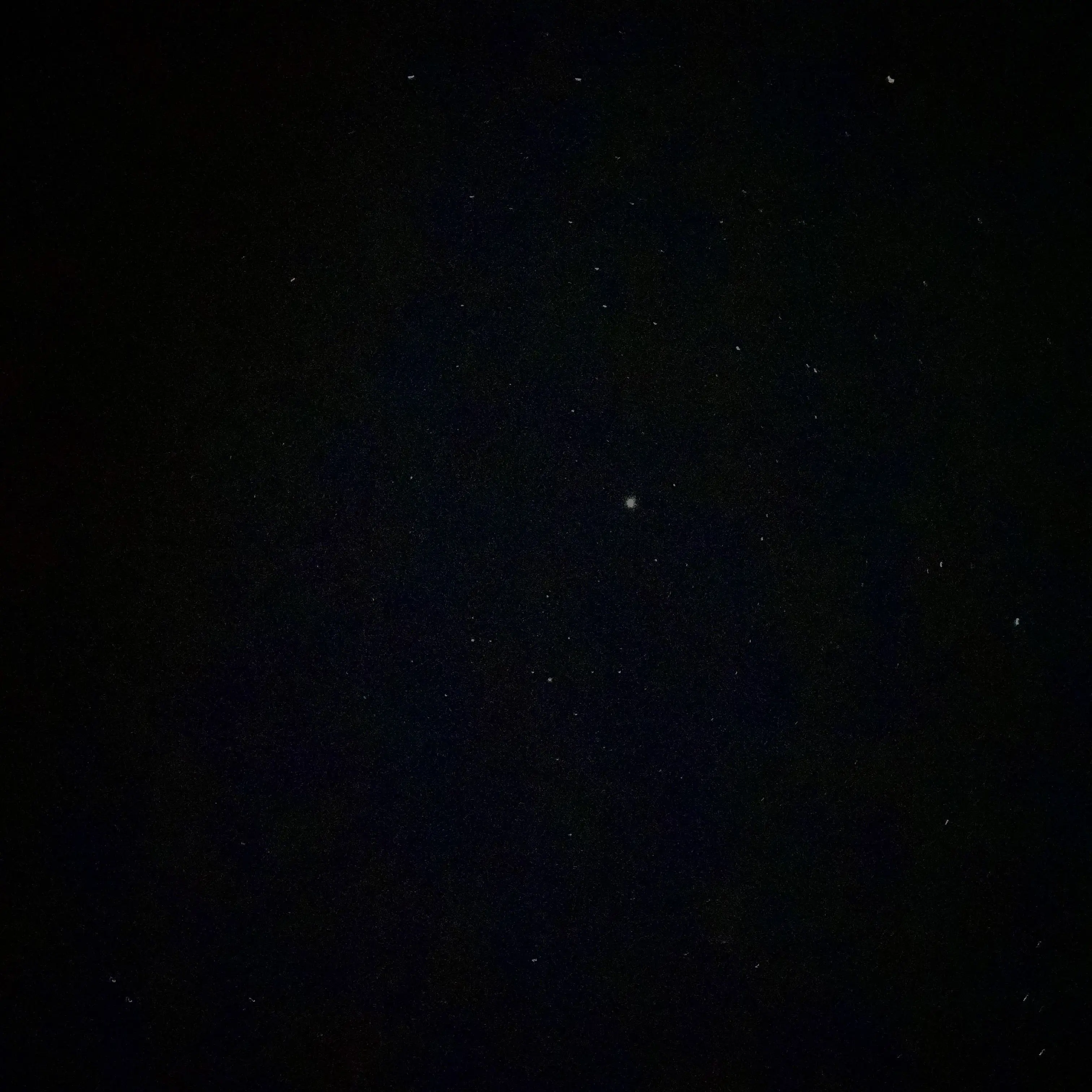 EvenChime7664의 똥 밟은 여우와 늑대!