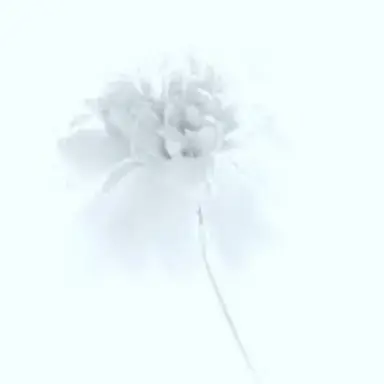 Profile image of メ ル ト
