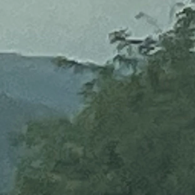 여우