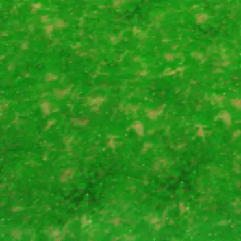 Profile image of 공룡