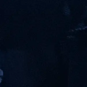 Profile image of 蓮