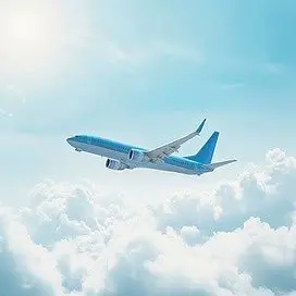Profile image of 뜰팁 항공