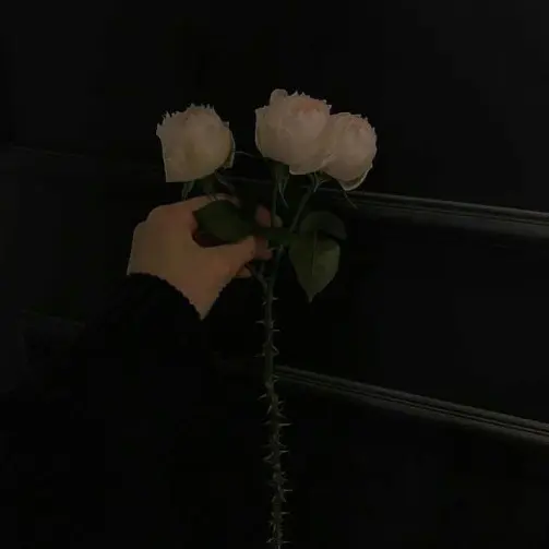 연진의 송하영