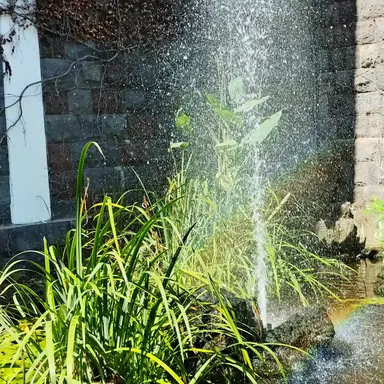 Profile image of 서리더