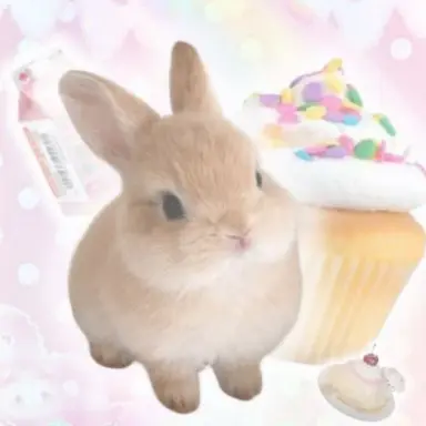 Profile image of hana