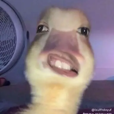 Profile image of 여우