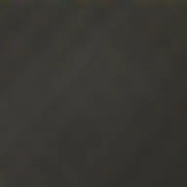 Profile image of 평학