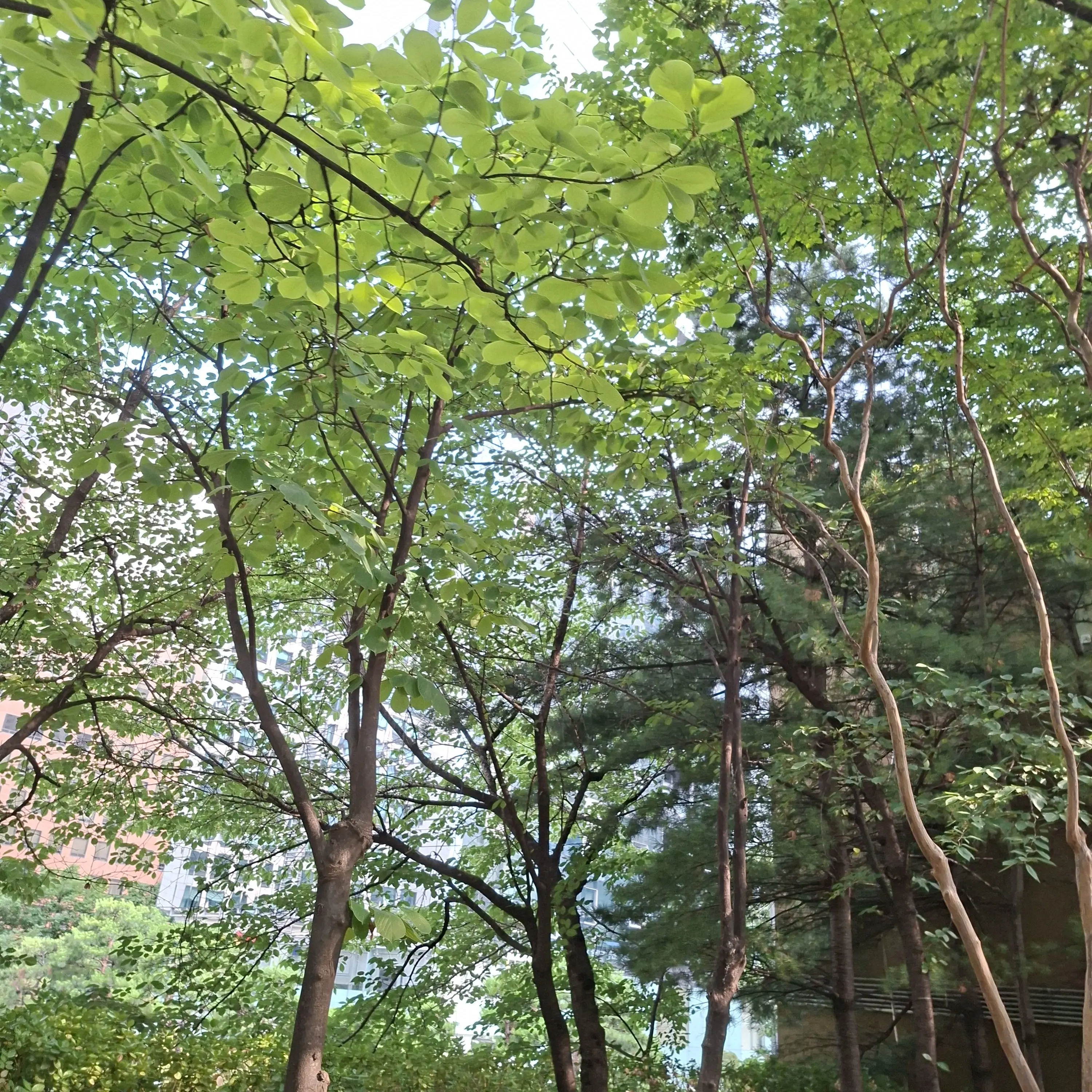 LocalRoot7402의 자유롭게