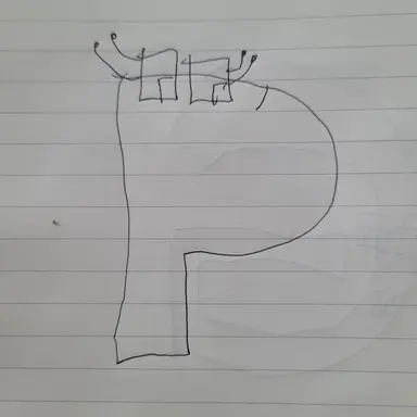 Profile image of P