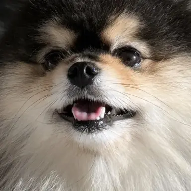 Profile image of 혜안 져스