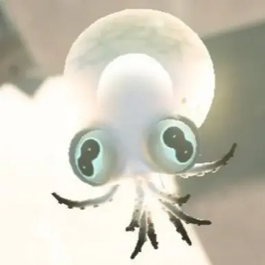 Profile image of コダコ