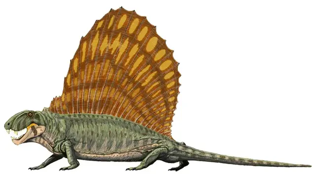 Profile image of 디메트로돈