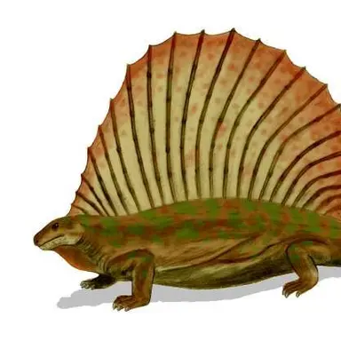 Profile image of 에다포사우루스