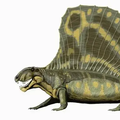 Profile image of 디메트로돈