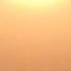 Profile image of 코마